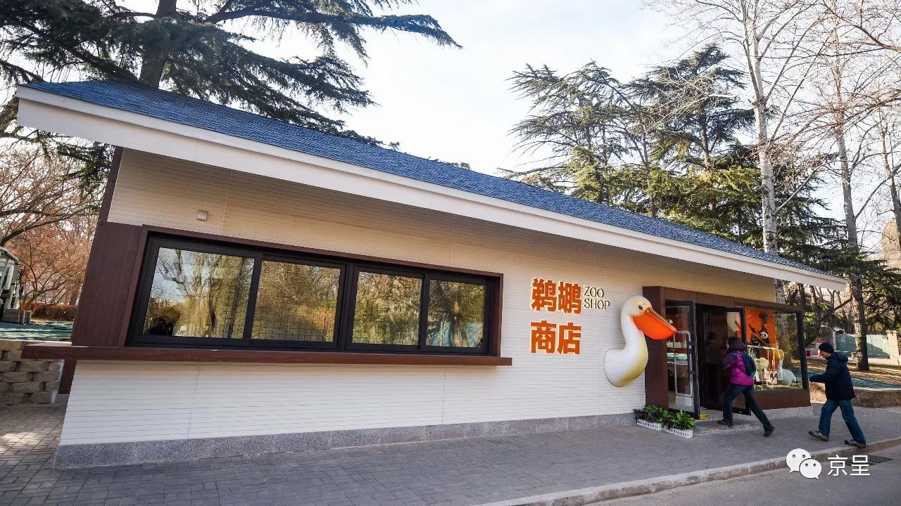 鹈鹕树懒食蚁兽?北京这家非主流玩偶店教你认认新萌物