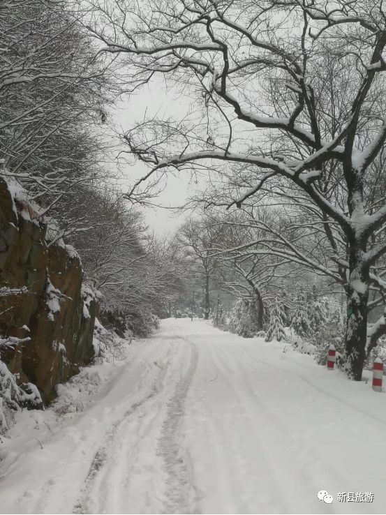 雪花赞美词,雪花飘飘北风萧萧