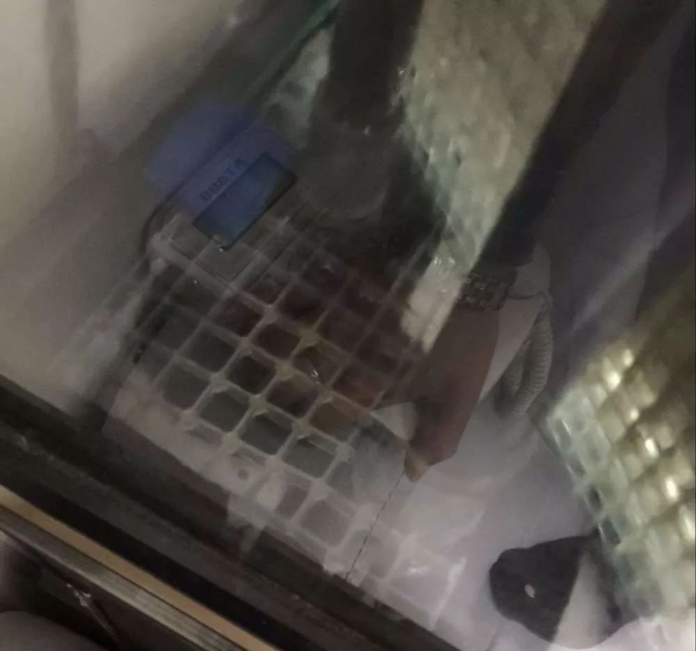 历时4个月，亲手做的缸终于运行！