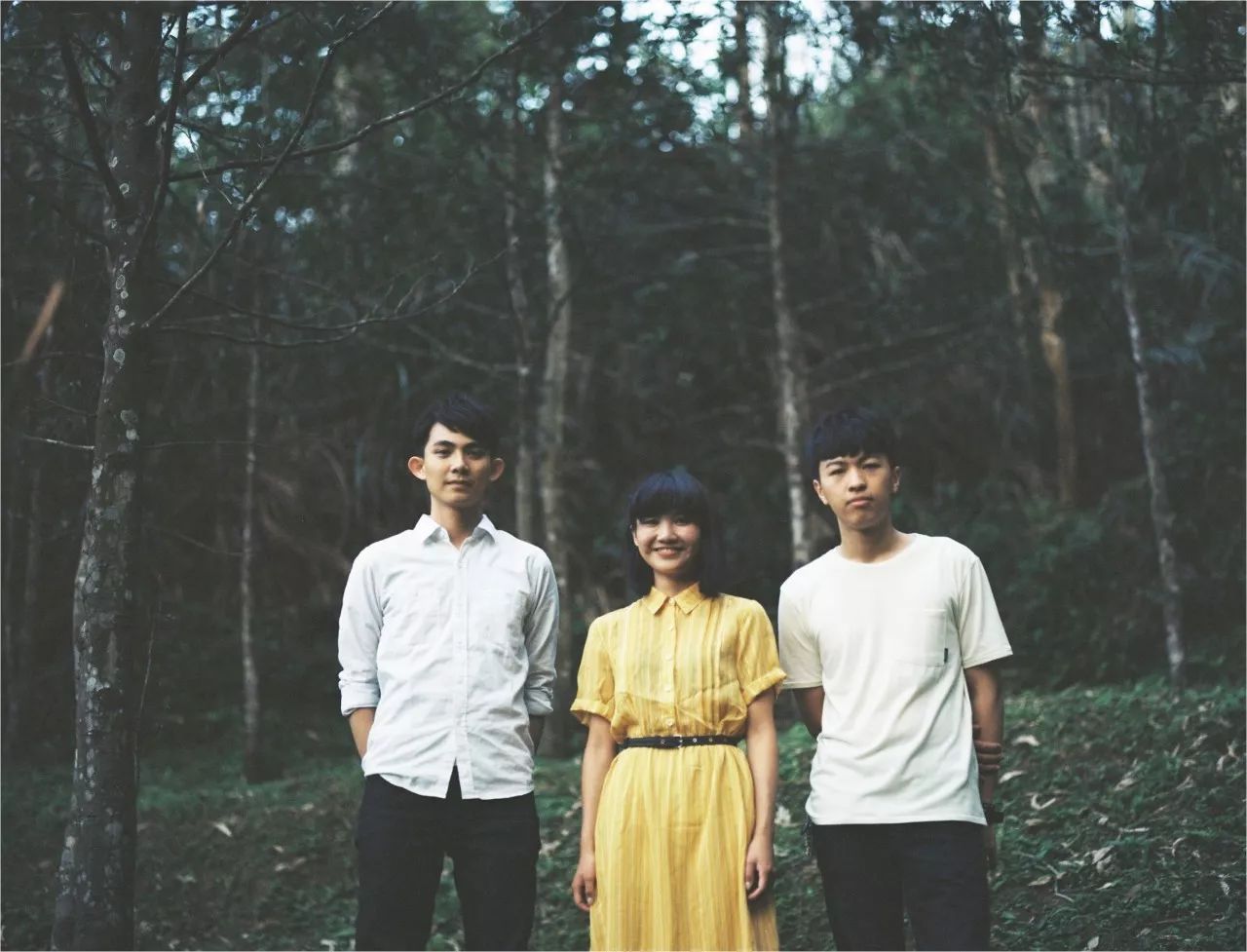 玩数摇的乐队不仅数学好，很可能还是个话唠