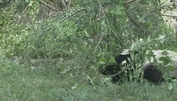 送福利元旦活动来一波,元旦送福利来啦