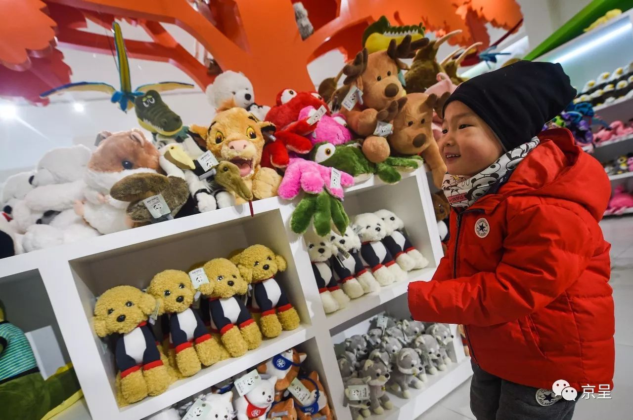 鹈鹕树懒食蚁兽?北京这家非主流玩偶店教你认认新萌物