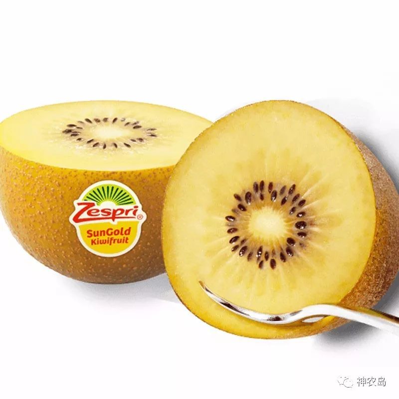 新西兰佳沛奇异果品牌打造,佳沛奇异果新西兰和意大利哪个好