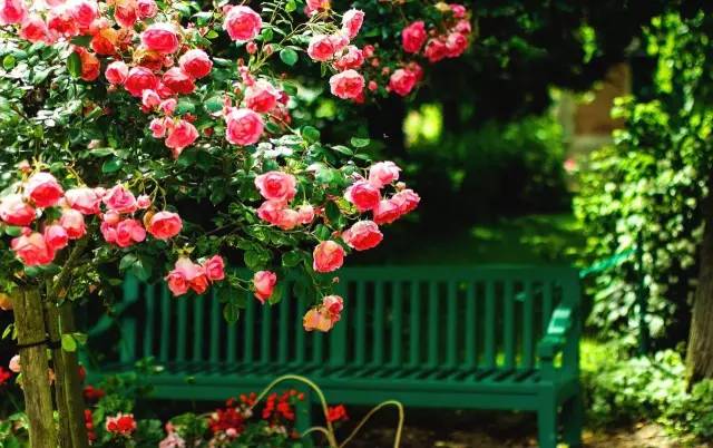 恋与制作人伴你身边,恋与制作人在你身边选谁比较好