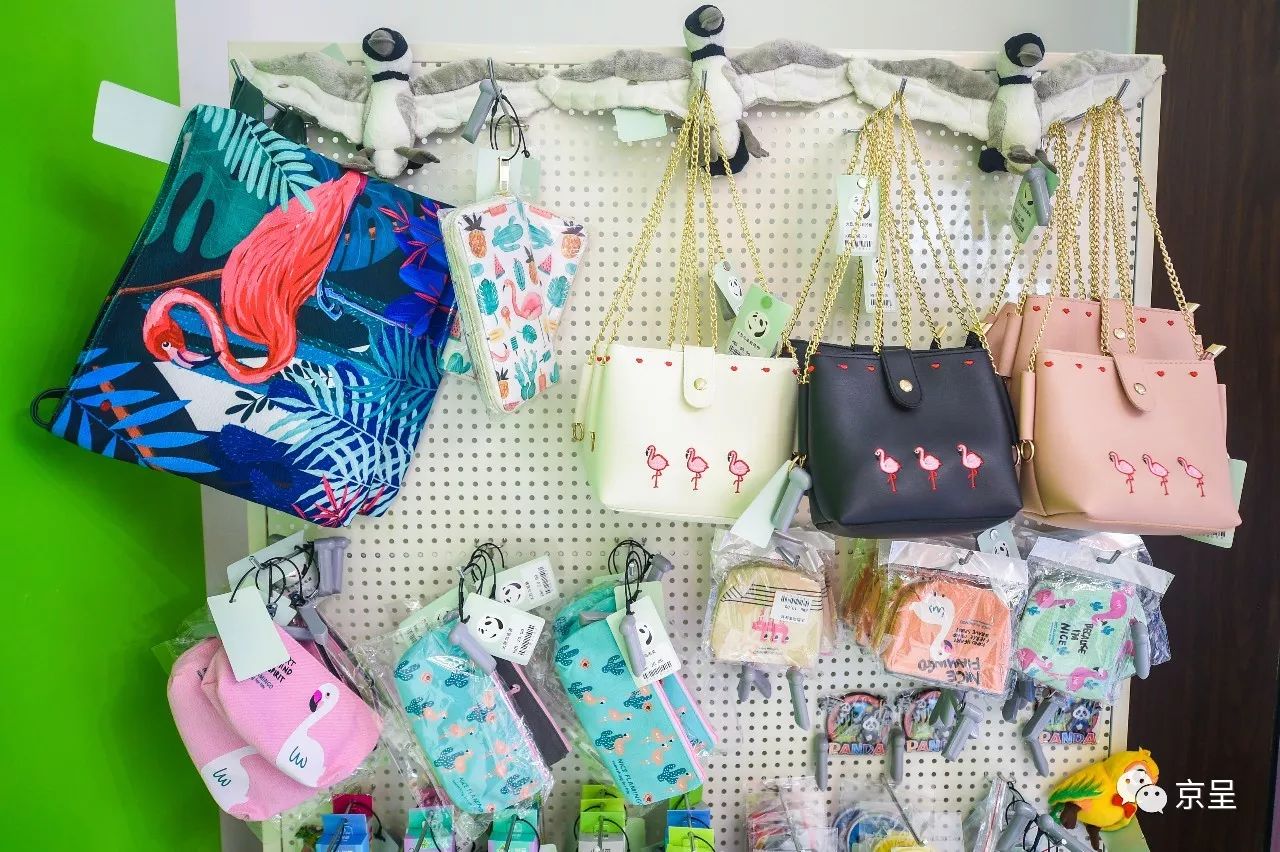 鹈鹕树懒食蚁兽?北京这家非主流玩偶店教你认认新萌物