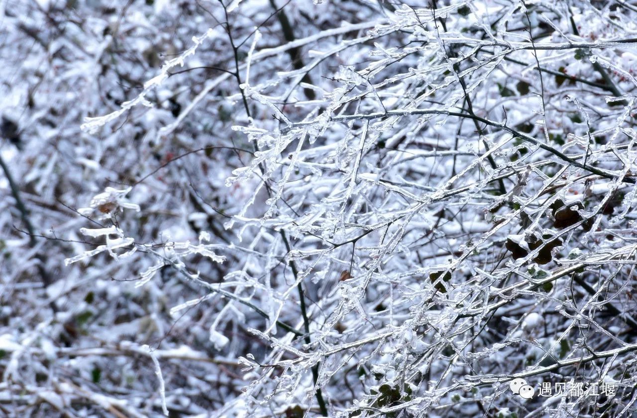 南方也有雪景,南方也有冰雪世界