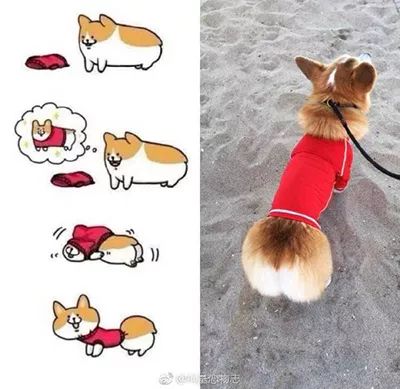 囧叔吐槽,囧吐槽