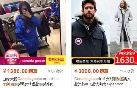 鎶勮鐨勬渶楂樺鐣屾湁澶氶珮,canadagoose