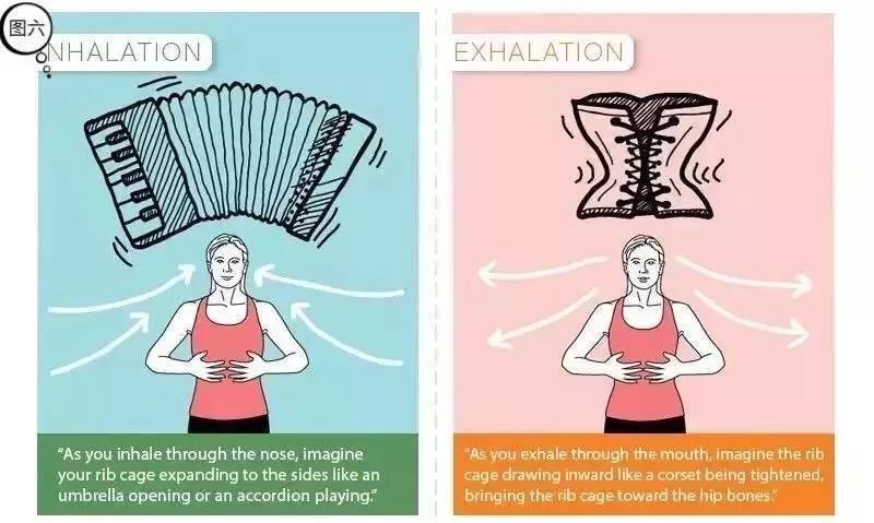 最该看的肩部肌肉图解,最容易被忽视的一块肩部肌肉