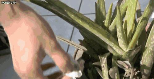 厨房油污每天用什么擦省钱,清洁厨房油污用啤酒小妙招大全