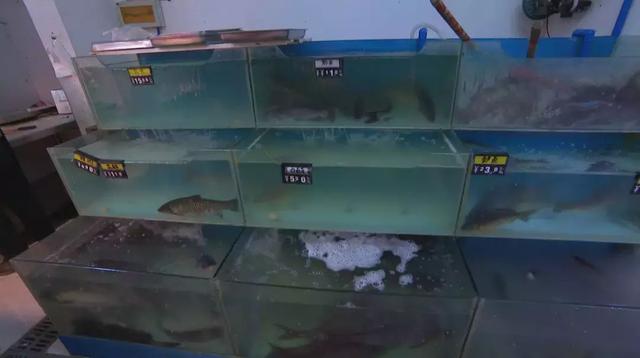 双流本地人喜欢吃的馆子,双流本地人去的餐厅