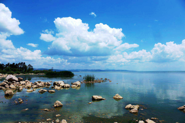 春城秀红嘴鸥图片,春城冬日美景