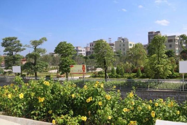 建设美丽乡村树立文明新风,倡导文明新风共建美丽乡村