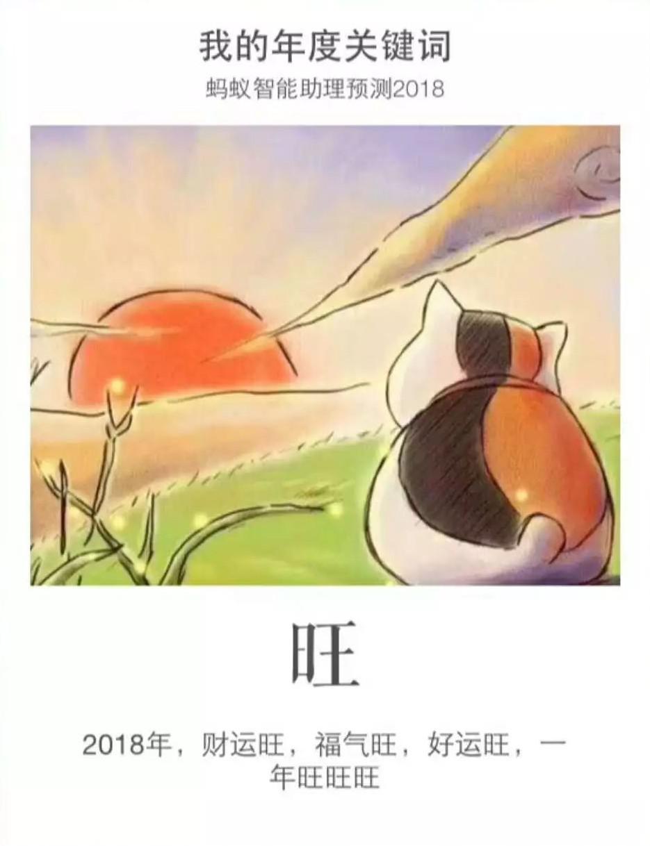 你的支付宝关键词对应着什么,2019支付宝年账单关键词怎么给的