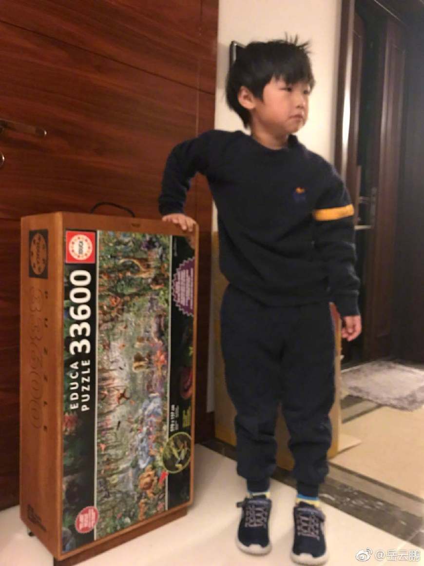 雷佳音送岳云鹏女儿5米拼图,雷佳音送岳云鹏女儿的拼图叫什么