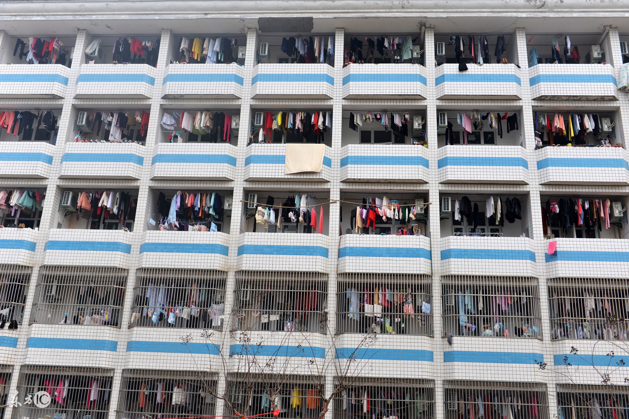 高一住校怎么防止别人偷东西,宿舍小偷偷东西很嚣张怎么办