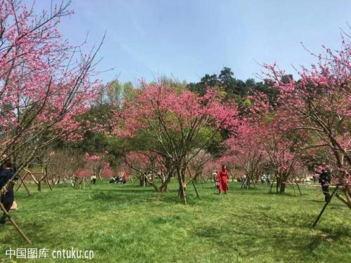 六安月亮岛岸边,六安月亮岛明珠