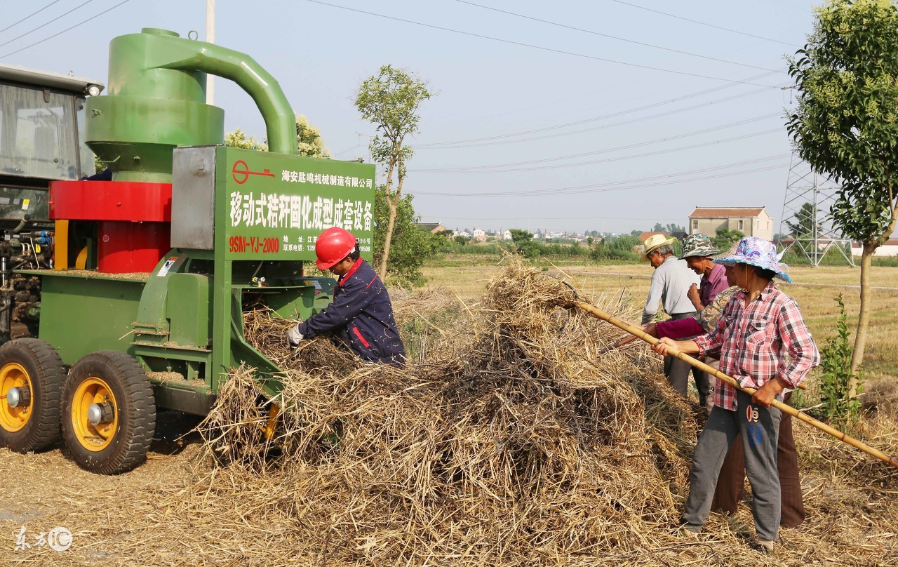 不辞长作新疆人视频,不辞长作故乡人简谱