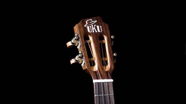 尤克里里帅吗,尤克里里kaka和卢森哪个好