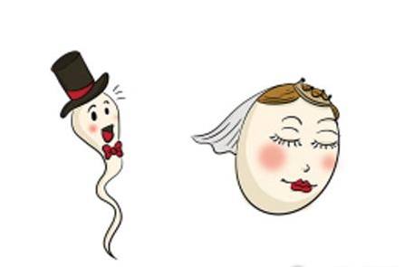 最远的距离不是海角天涯,最远的距离不是千里万里