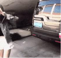 呦呦切克闹英文版,呦呦切克闹原创