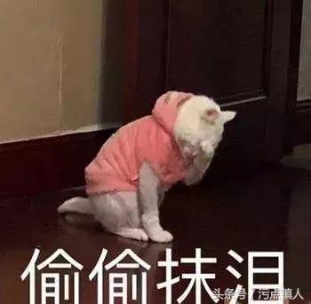 香港假货新闻最新,香港假货