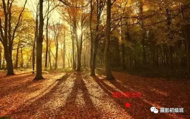 新手相机介绍攻略,新手入门相机的知识