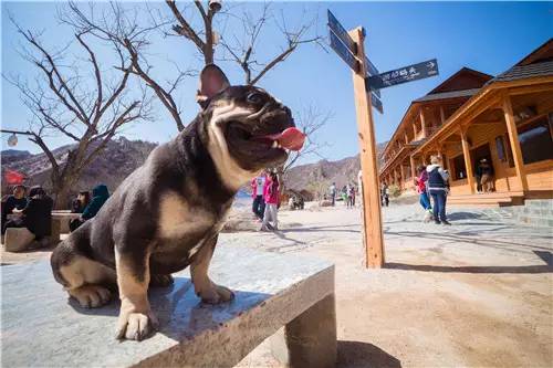 回顾欧帝亿和你相遇春の水长城
