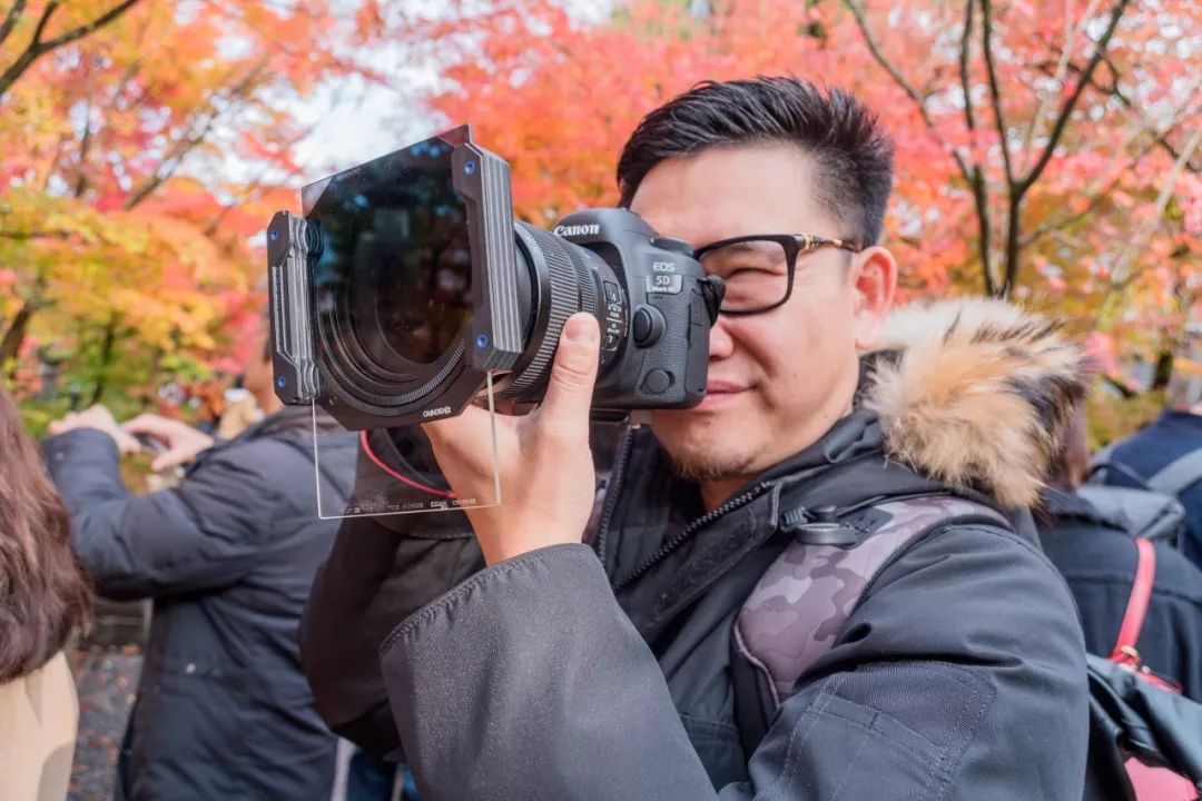 狗哥的热评,狗哥热评