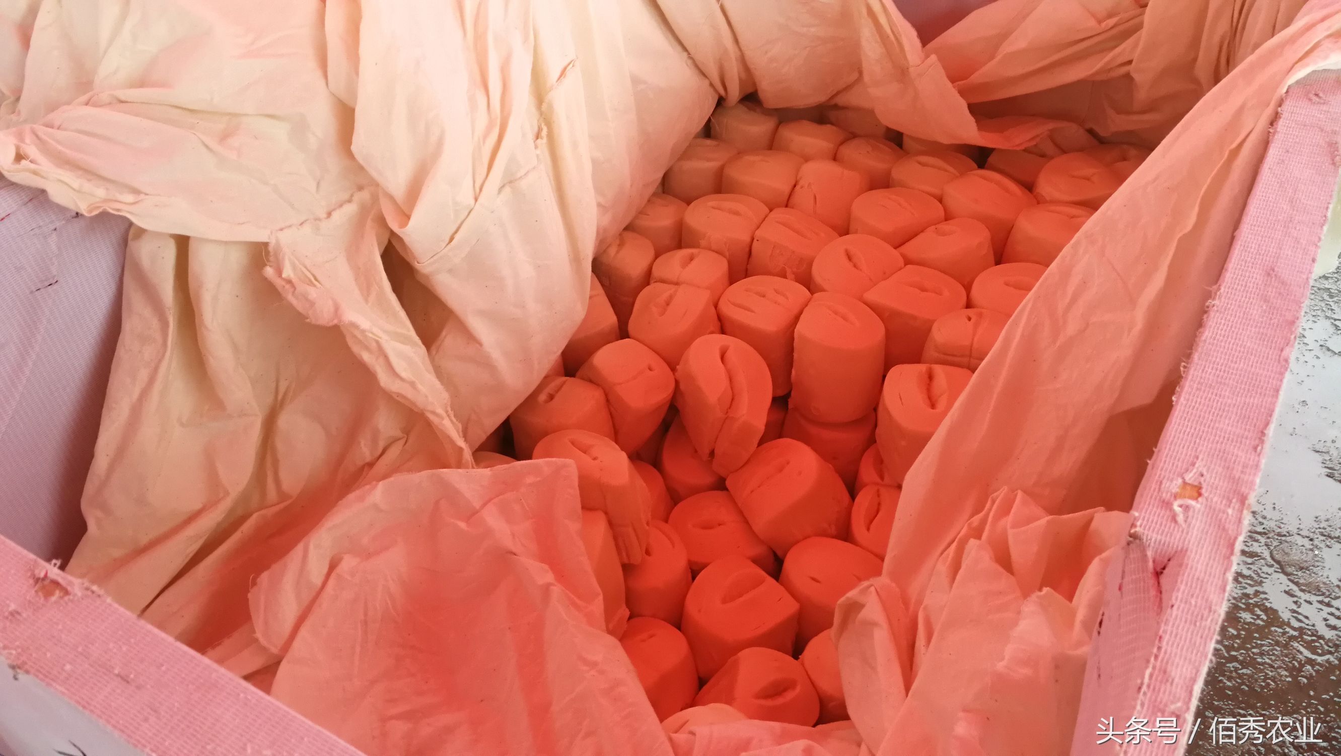 手工馒头摆摊2元一斤挣钱吗,农村做馒头赚钱