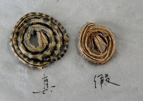 中药材造假猖獗，火眼金睛识别假中药