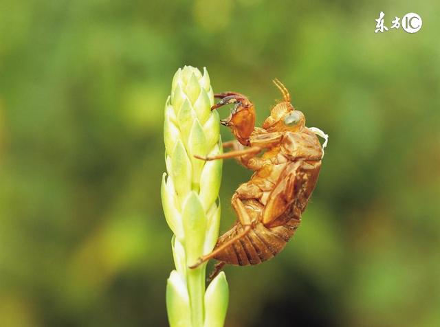 怎样养出有灵性的孩子,怎么养出有灵性的孩子