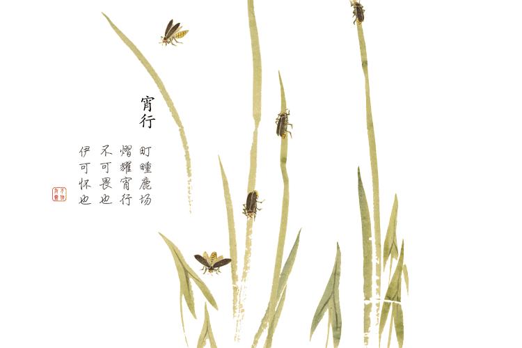 诗经中最唯美的名字,王姓女孩诗经中最唯美的名字