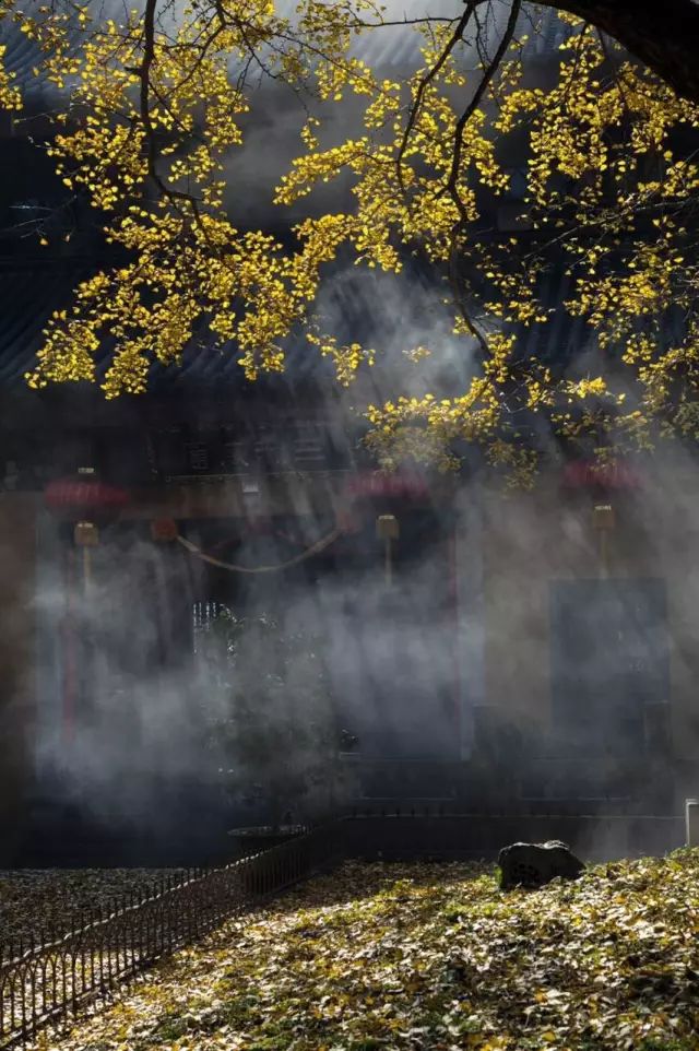 2018年浙江地方景点旅游日历大合集！含杭州，建德，温州，金华！