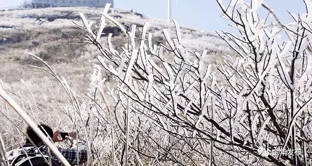 2018年浙江地方景点旅游日历大合集！含杭州，建德，温州，金华！
