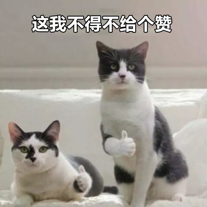 诗经中最唯美的名字,王姓女孩诗经中最唯美的名字