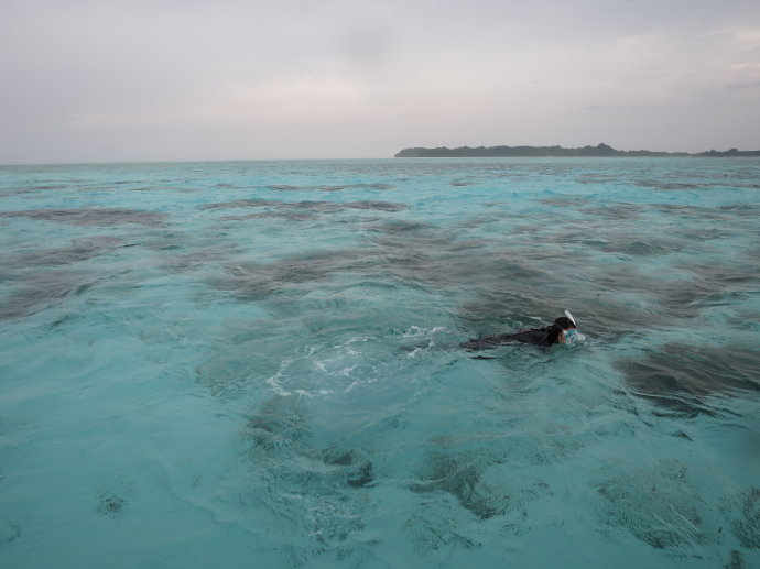 帕劳海底世界,帕劳七色海全景图