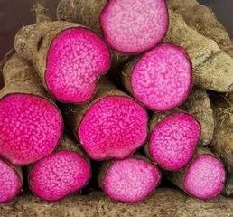 签下半亿大单！香港人买下1000吨肇庆这种食物！