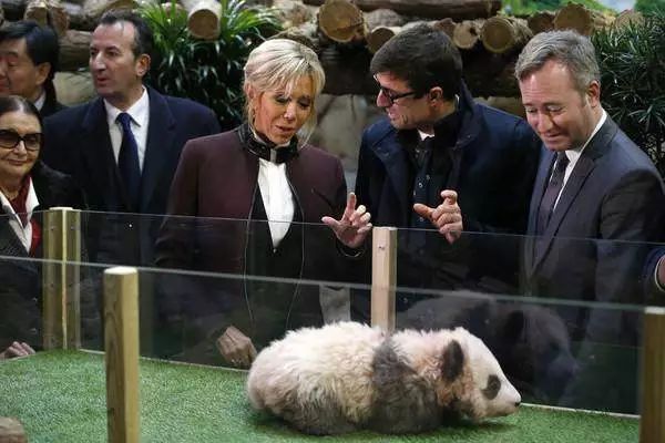 马克龙送习*平近**的马有什么来头？