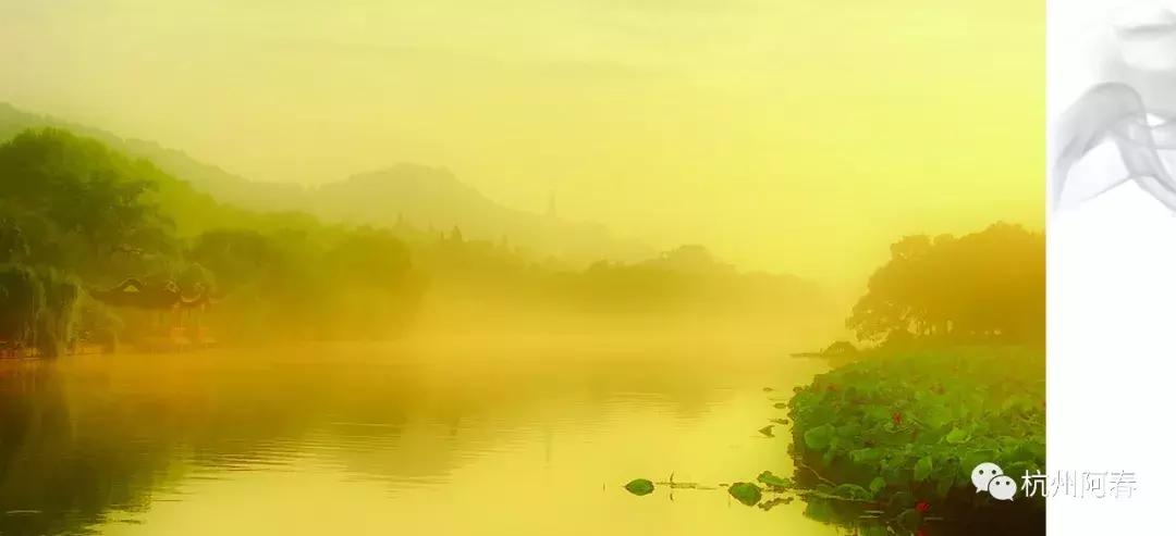 杭州非遗文化展示,杭州非遗文化展