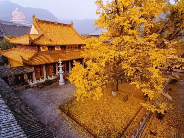 2018年浙江地方景点旅游日历大合集！含杭州，建德，温州，金华！