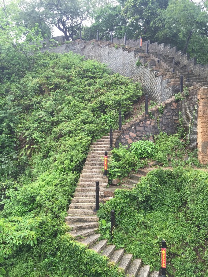 江门小鸟的天堂旅游攻略,江门小鸟天堂附近免费游玩的地方