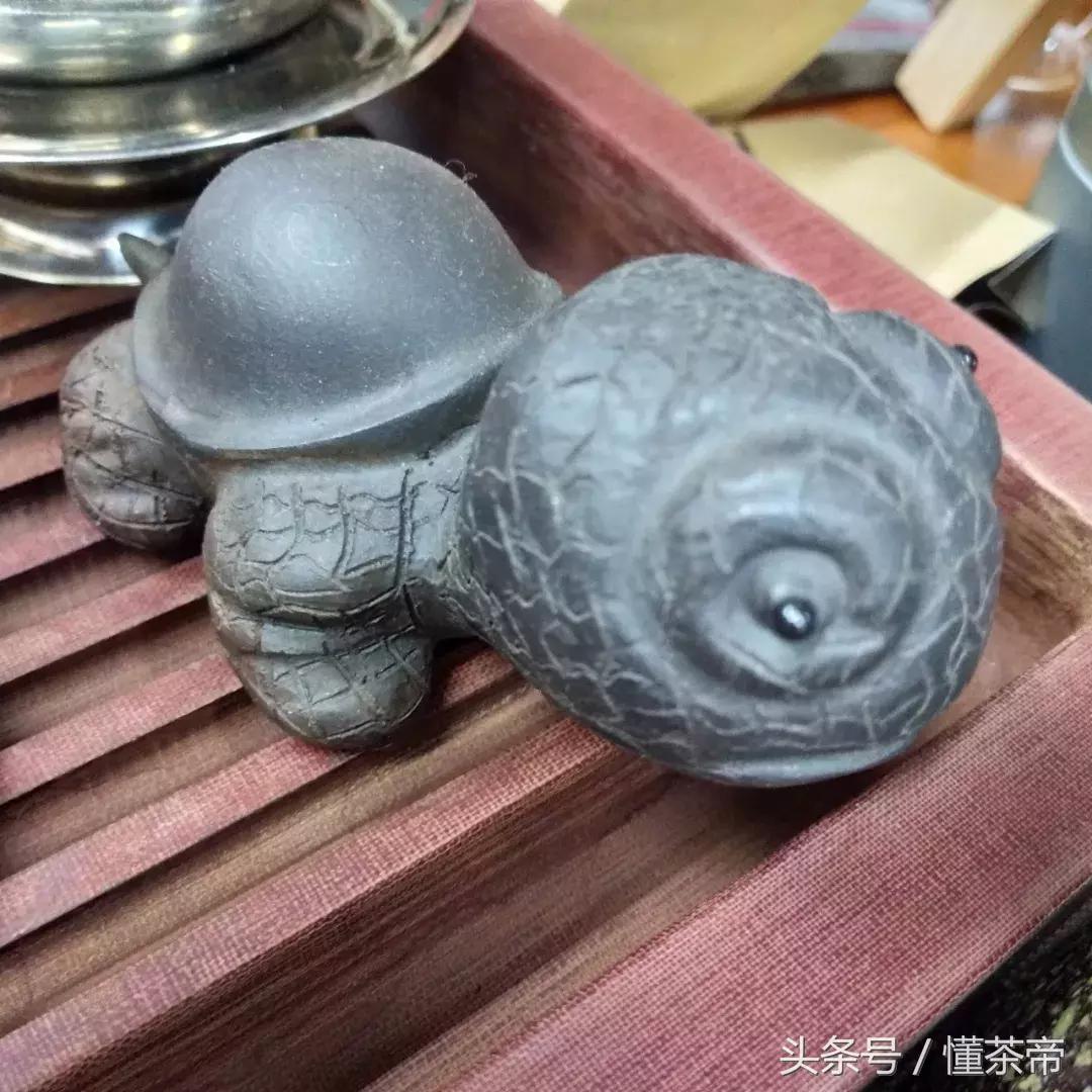 茶宠有哪些寓意摆放有什么讲究,家里养什么茶宠的寓意最好