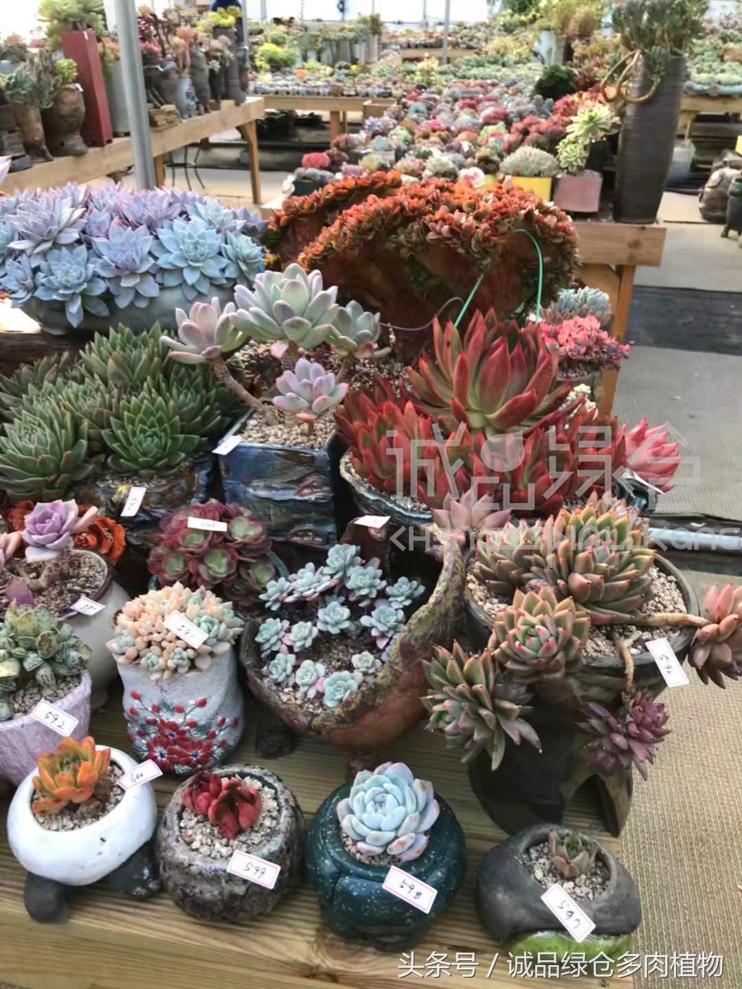 满足你对的所有幻想,满足你对生活所有的想象