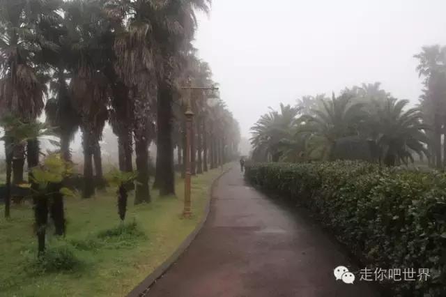 韩囧电影完整版,韩囧完整版