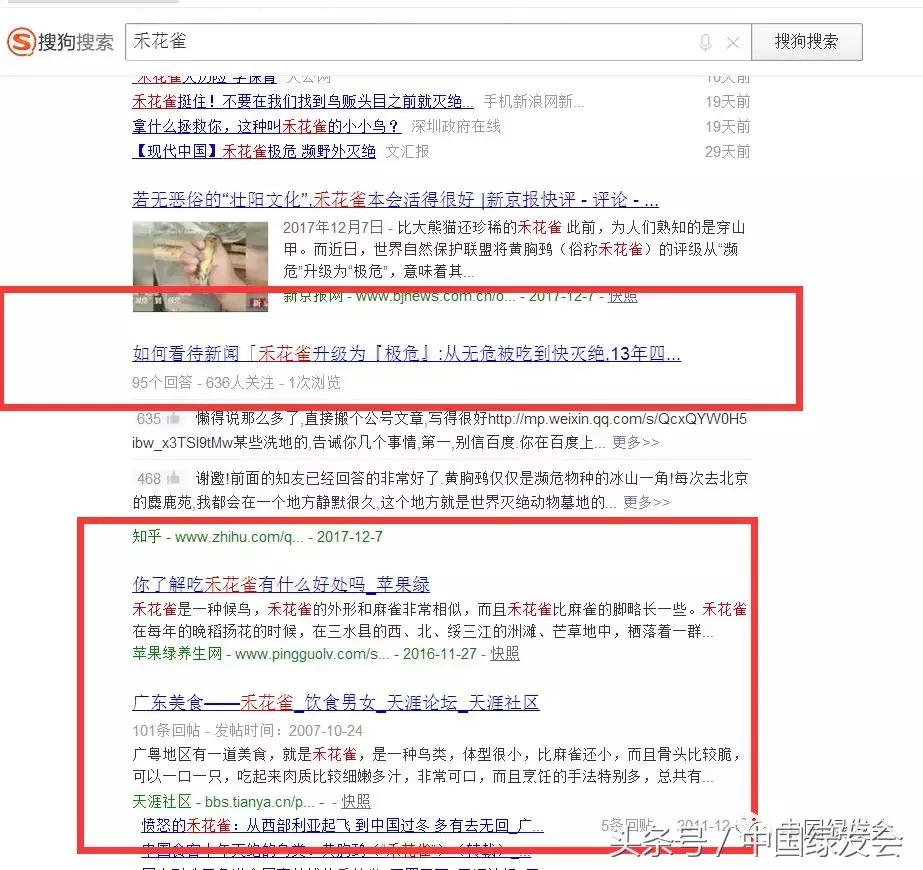 禾花雀搜索对比｜看百度搜狗360必应的社会责任和对用户意见的反应