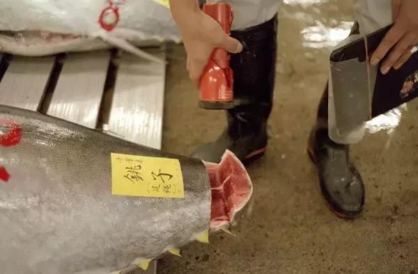 日本的海鲜市场现在最新情况,日本青森海鲜市场