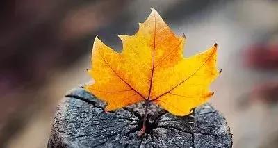 中医谈养生寻医不如自医,中医养生的关键在顺应自然