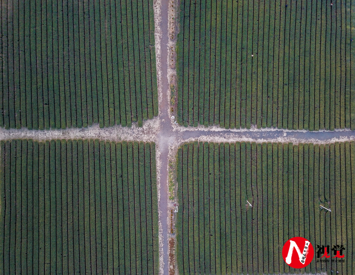 济州岛自由行攻略5天,韩国济州岛4天5夜浪漫之旅