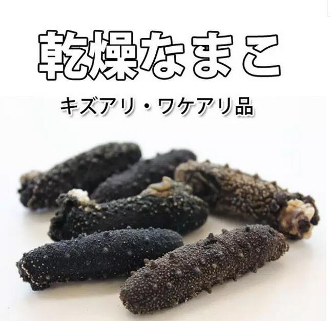 带您了解世界海参,你知道全球有多少种鲨鱼吗